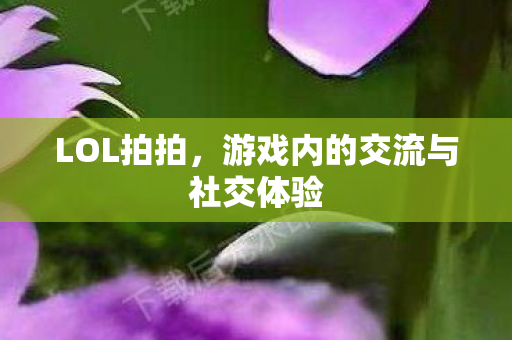 游戏内的交流与社交体验图片