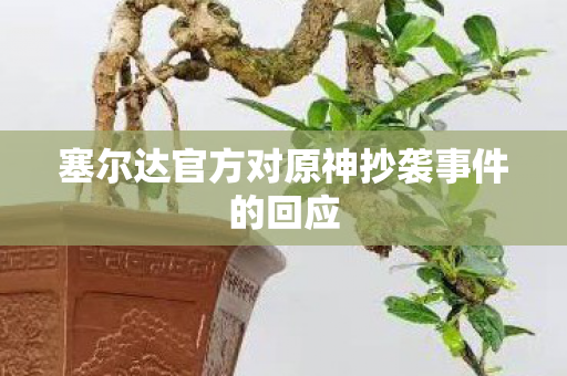 塞尔达官方对原神抄袭事件的回应图片