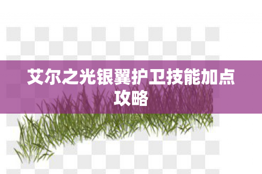 艾尔之光银翼护卫技能加点攻略图片