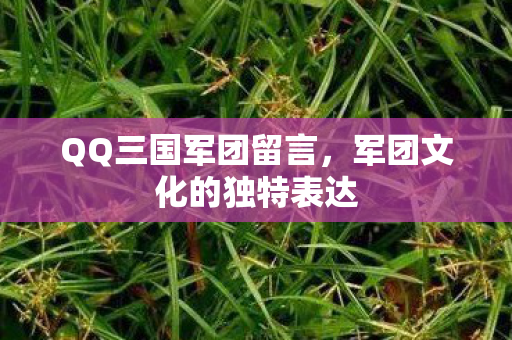军团文化的独特表达图片