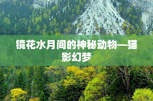 镜花水月间的神秘动物图片