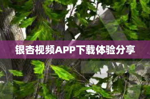 银杏视频APP下载体验分享图片