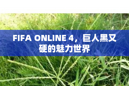FIFA ONLINE 4图片