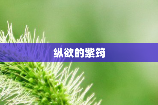 纵欲的紫筠图片