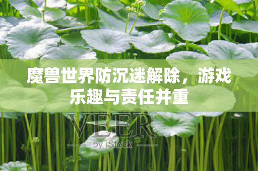 魔兽世界防沉迷解除图片