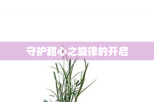 守护甜心之旋律的开启图片