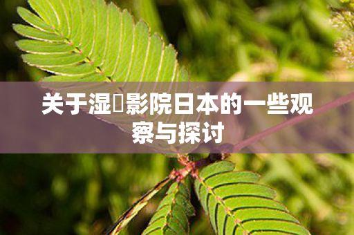 关于湿妺影院日本的一些观察与探讨图片