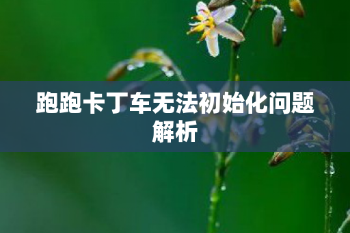 跑跑卡丁车无法初始化问题解析图片