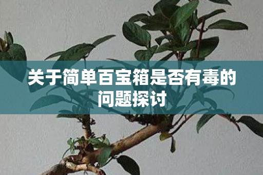 关于简单百宝箱是否有毒的问题探讨图片