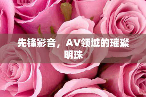 AV领域的璀璨明珠图片