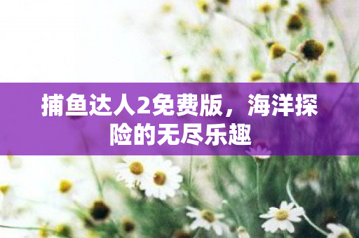 海洋探险的无尽乐趣图片
