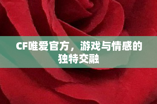 游戏与情感的独特交融图片