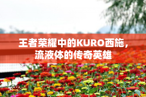 王者荣耀中的KURO西施图片