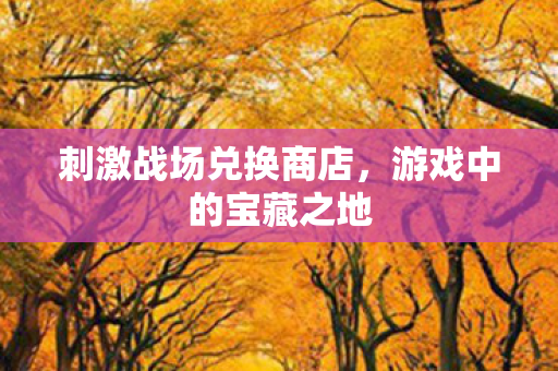 刺激战场兑换商店图片