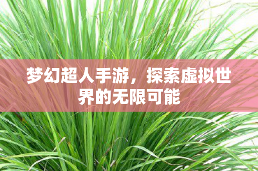 探索虚拟世界的无限可能图片