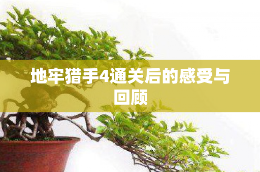 地牢猎手4通关后的感受与回顾图片