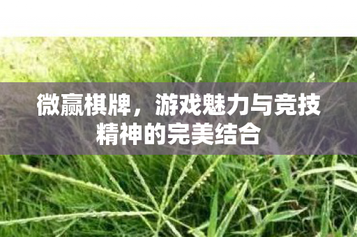 游戏魅力与竞技精神的完美结合图片