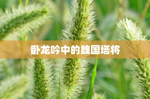 卧龙吟中的魏国塔将图片