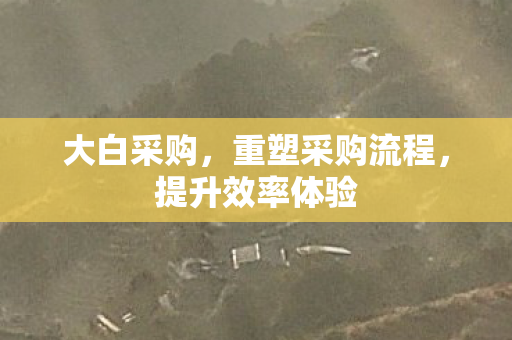 重塑采购流程图片