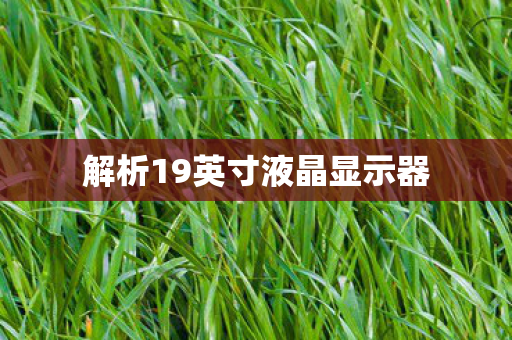解析19英寸液晶显示器图片