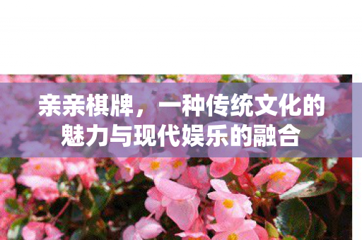 一种传统文化的魅力与现代娱乐的融合图片