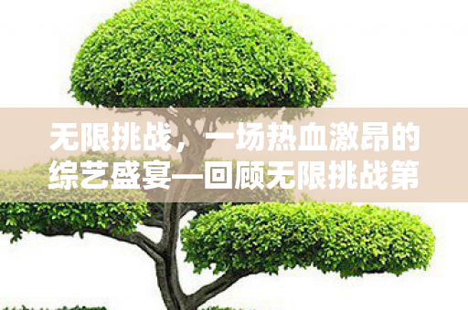 回顾无限挑战第XXXX年XX月XX日图片