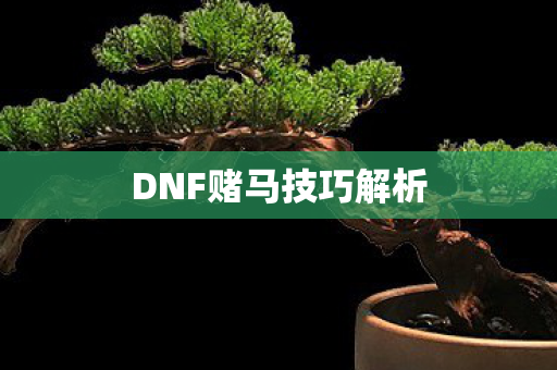 DNF赌马技巧解析图片