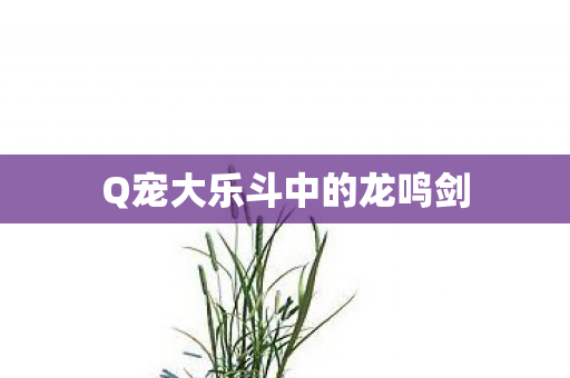 Q宠大乐斗中的龙鸣剑图片