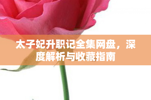 太子妃升职记全集网盘图片
