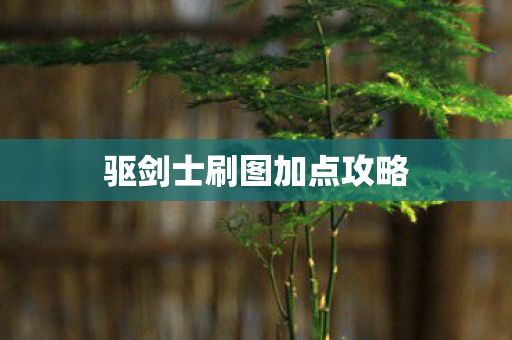 驱剑士刷图加点攻略图片
