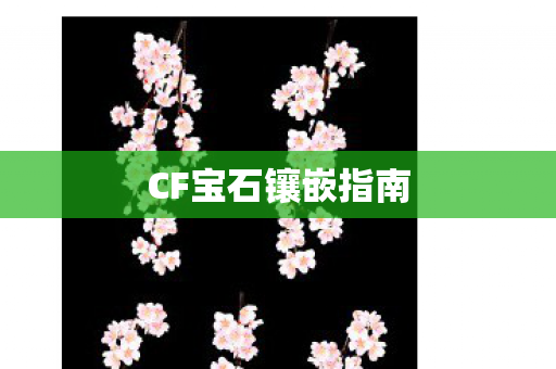 CF宝石镶嵌指南图片