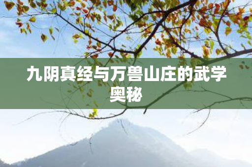九阴真经与万兽山庄的武学奥秘图片