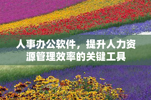 提升人力资源管理效率的关键工具图片