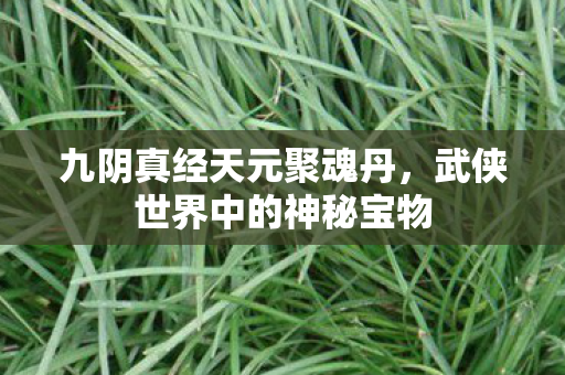 武侠世界中的神秘宝物图片