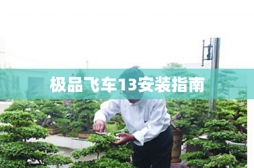 极品飞车13安装指南图片