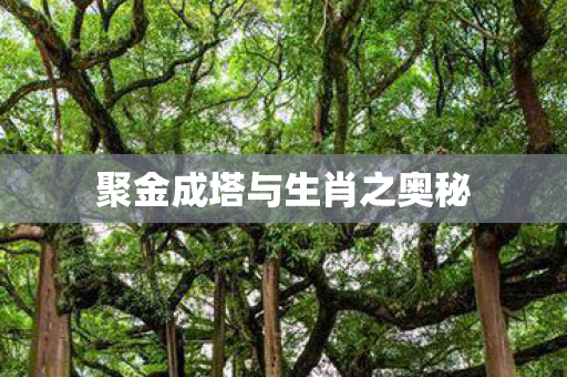 聚金成塔与生肖之奥秘图片