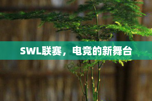 电竞的新舞台图片