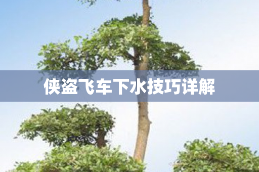侠盗飞车下水技巧详解图片