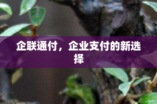 企业支付的新选择图片