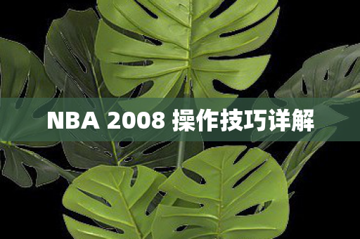 NBA 2008 操作技巧详解图片