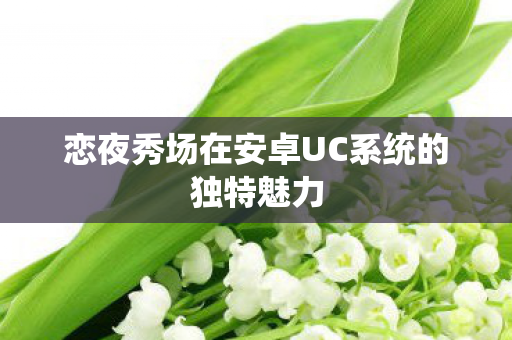 恋夜秀场在安卓UC系统的独特魅力图片