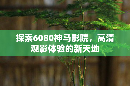 探索6080神马影院图片