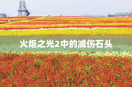 火炬之光2中的减伤石头图片