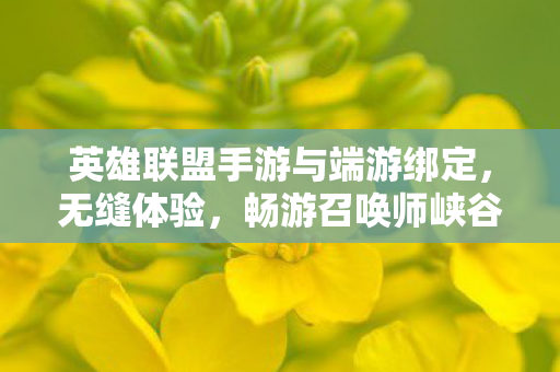 英雄联盟手游与端游绑定图片