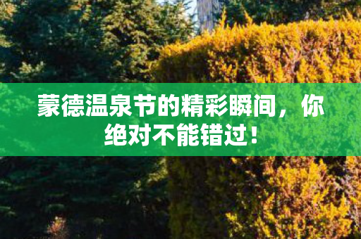 蒙德温泉节的精彩瞬间图片
