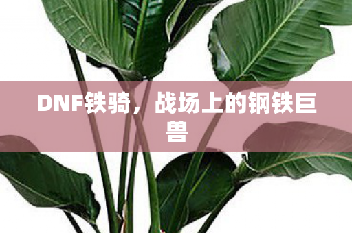 战场上的钢铁巨兽图片