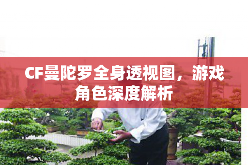 CF曼陀罗全身透视图图片