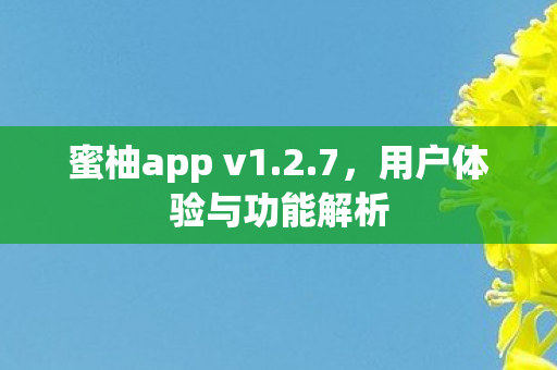 用户体验与功能解析图片