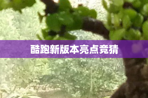 酷跑新版本亮点竞猜图片