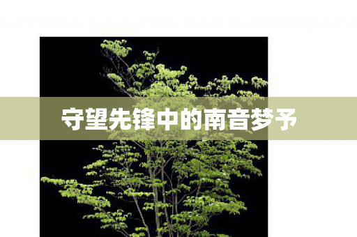 守望先锋中的南音梦予图片